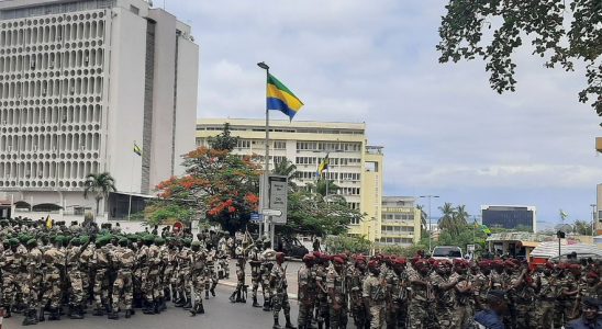 France and Gabon half a century of living together for