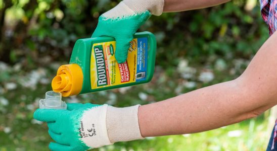 Glyphosate Roundup France danger a risk of cancer