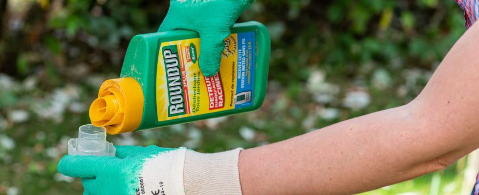 Glyphosate Roundup France danger a risk of cancer