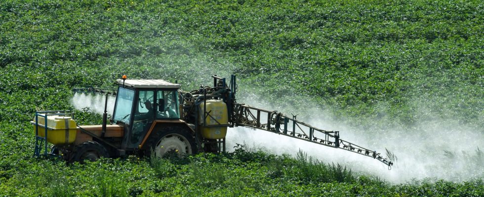 Glyphosate why does the EU want to extend the authorization