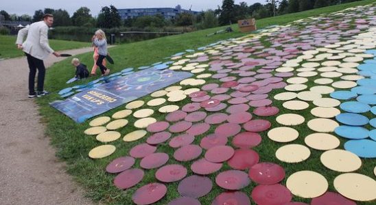 Grass from Utrechts Griftpark is gradually making way for LPs