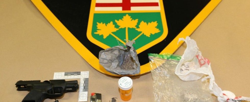 Handgun and drugs found at St Clair Township traffic stop