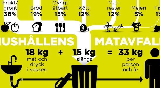 Here is the food that we throw in the garbage