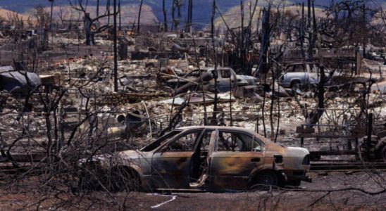 Invasive weeds catalysts of forest fires in Hawaii