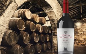 Italia Wine Brands announces positive half year results and reorganization