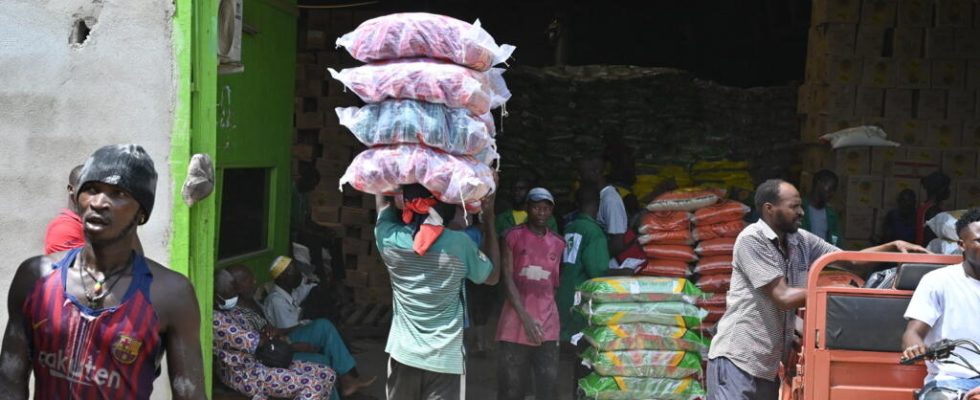 Ivory Coast suspends sugar and rice exports until the end