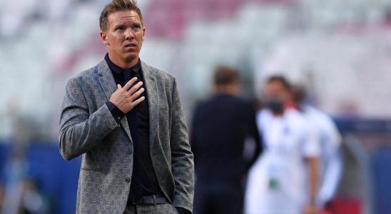 Julian Nagelsmann named Germany coach