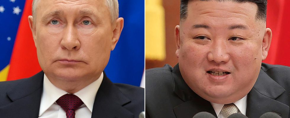 Kim Jong Un plans to meet Vladimir Putin