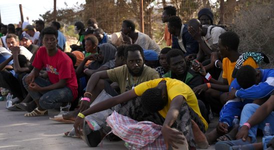 Lampedusa what if the migration crisis was not what we