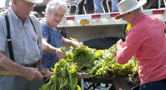 Langton celebrates agricultural heritage with 133rd fair