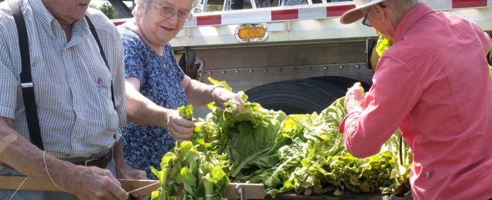 Langton celebrates agricultural heritage with 133rd fair