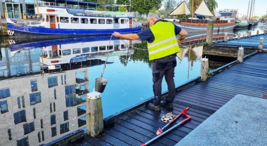 Last year blue green algae now a bacteria in the water