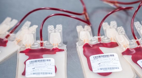 Litigation over girls blood transfusions