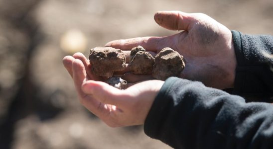 New finds on Gotska Sandon Harbor from the Iron Age