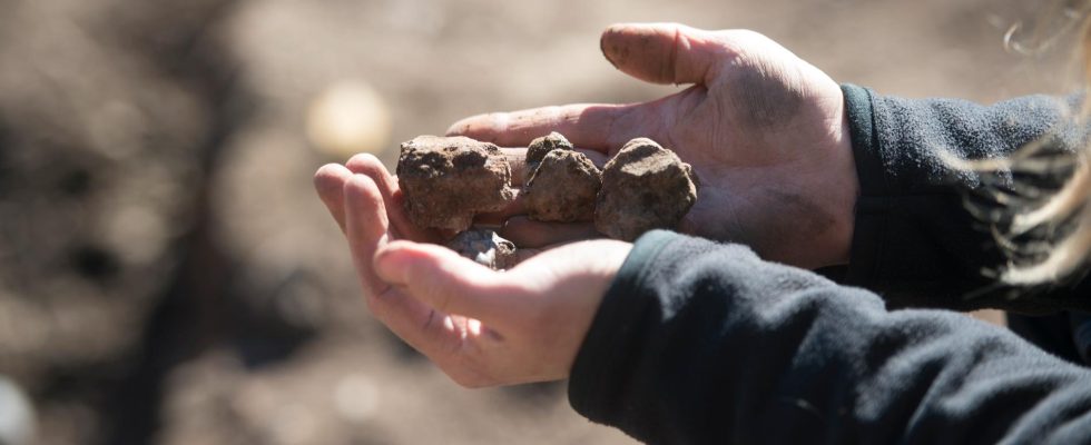 New finds on Gotska Sandon Harbor from the Iron Age