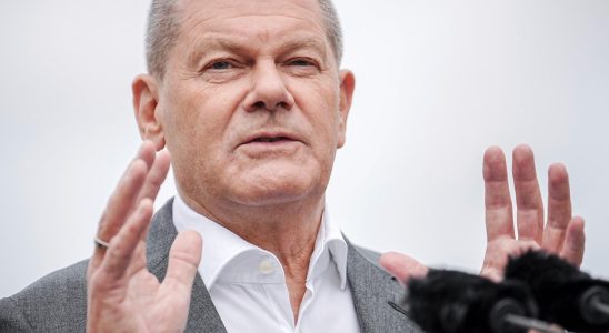 Olaf Scholz fell cancels meetings