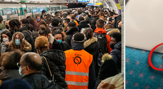 Paris invaded by bedbugs panic among commuters