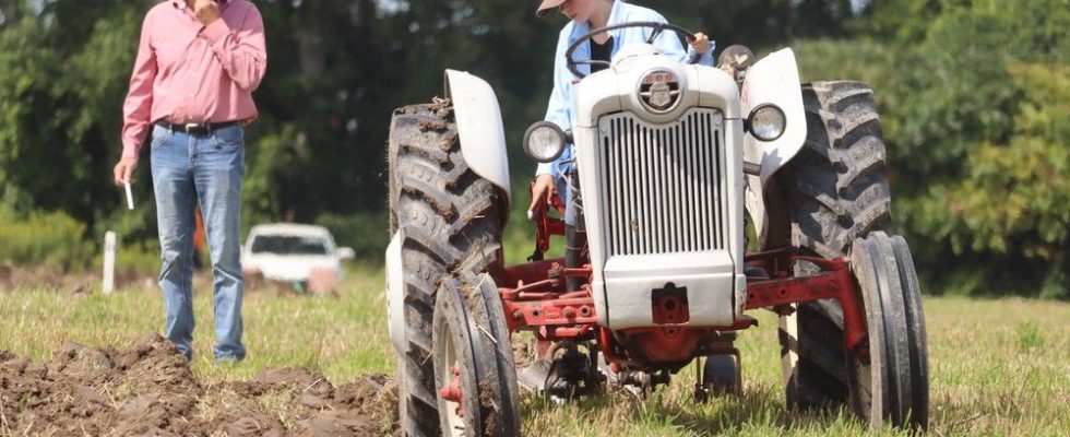 Plowers go furrow to furrow Saturday in Sarnia