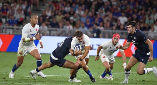 Rugby World Cup TV program dates channels Broadcast information