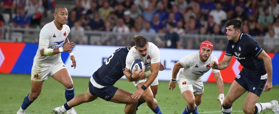 Rugby World Cup TV program dates channels Broadcast information