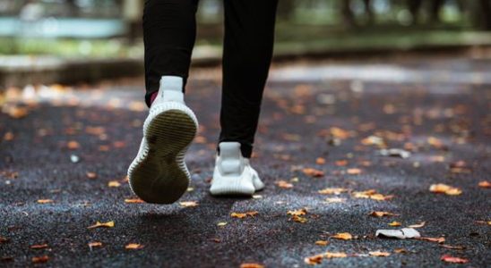 Runner is threatened and jumps into a canal police are