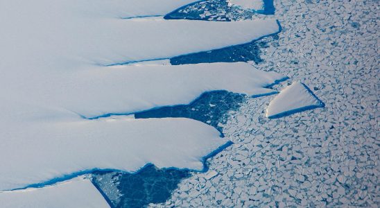 Scientists are raising the alarm about Antarcticas shrinking sea ice