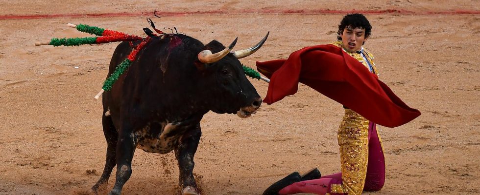 Spain Bullfighting exempted from animal protection law