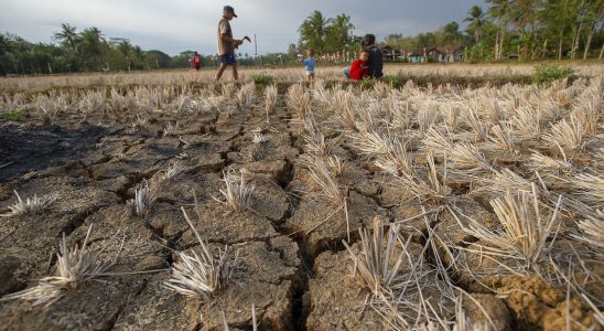 Stifling heat drought El Nino a glimpse of tomorrows climate