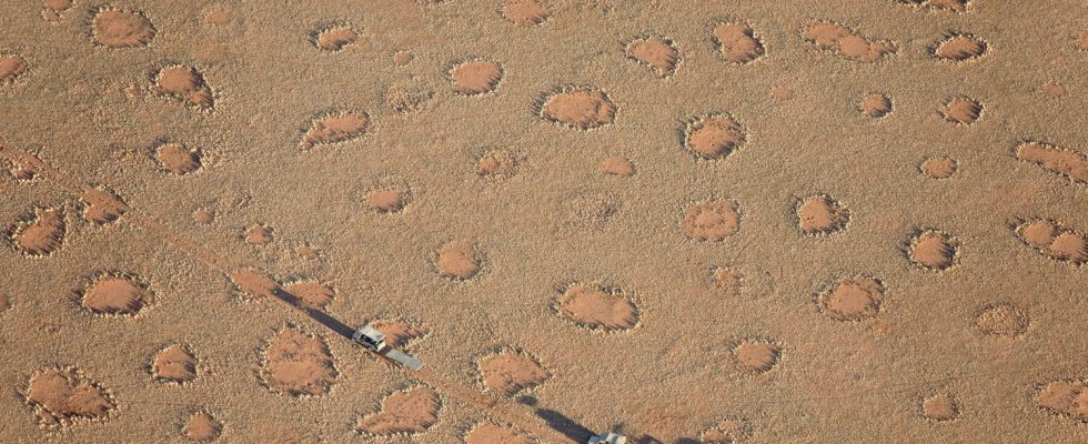 Strange circles appeared in hundreds of places on the planet