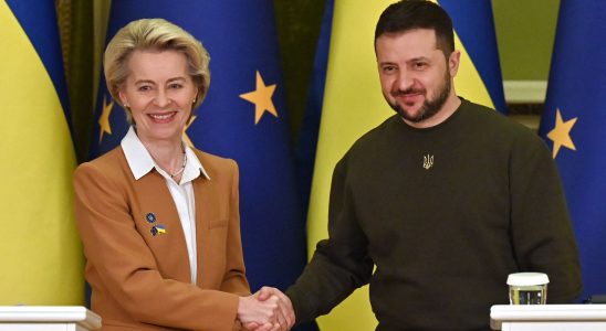 Ukraine in the EU necessity and puzzle by Marion Van