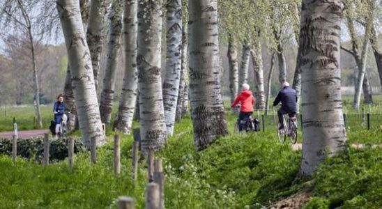 Utrecht is the most ambitious cycling province in the Netherlands