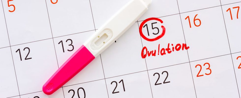 What are the signs of ovulation