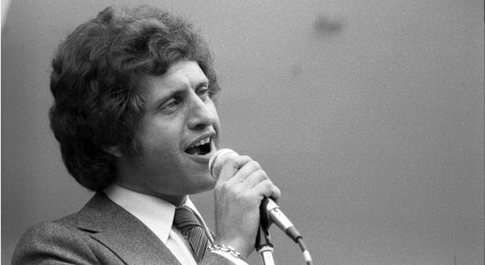 Why did Joe Dassin or Herve Vilard mark the France