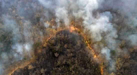 Wildfires smoke could harm brain health