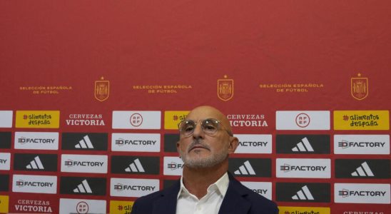 coach Luis de la Fuente apologizes for applauding Rubiales