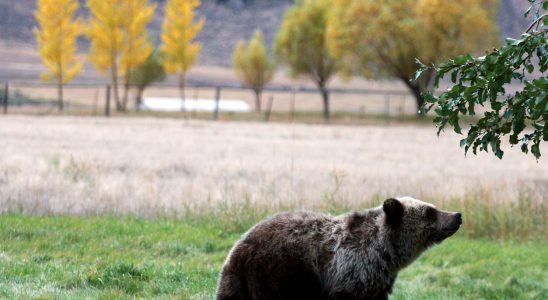 s national parks may have to close