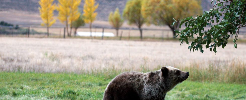 s national parks may have to close