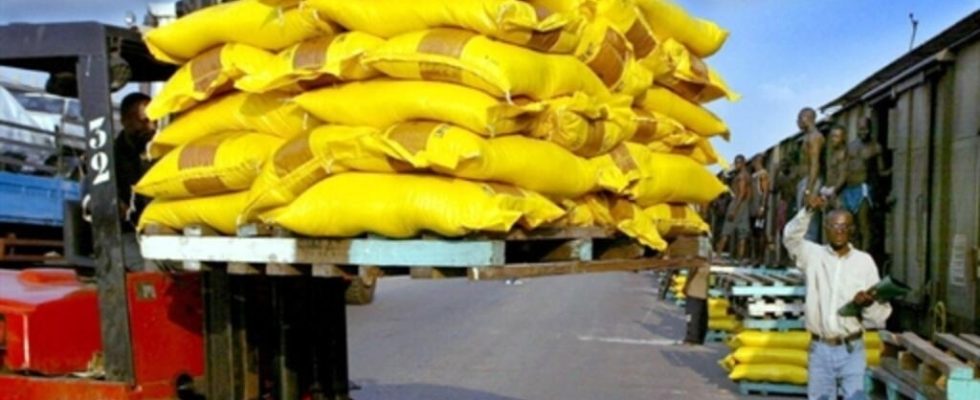 the State decides to cap the price of rice which