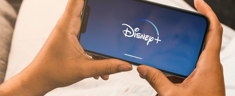 After Netflix Disney is in turn tackling account sharing by