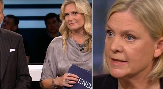 Andersson and Busch criticize the SVT debate