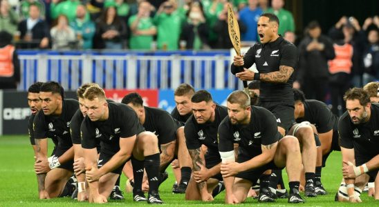 Argentina New Zealand LIVE a semi final without surprises