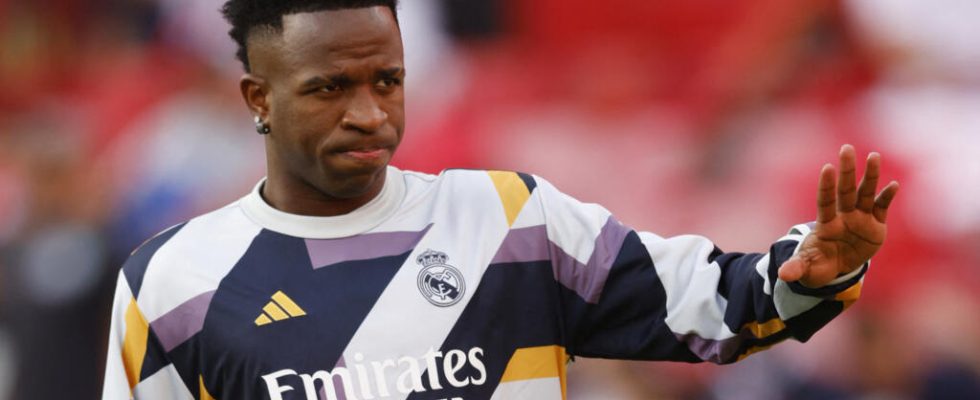 Brazilian footballer Vinicius again victim of racism spectator expelled