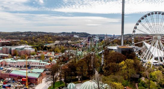 Burglar guard at Liseberg sentenced for fraud