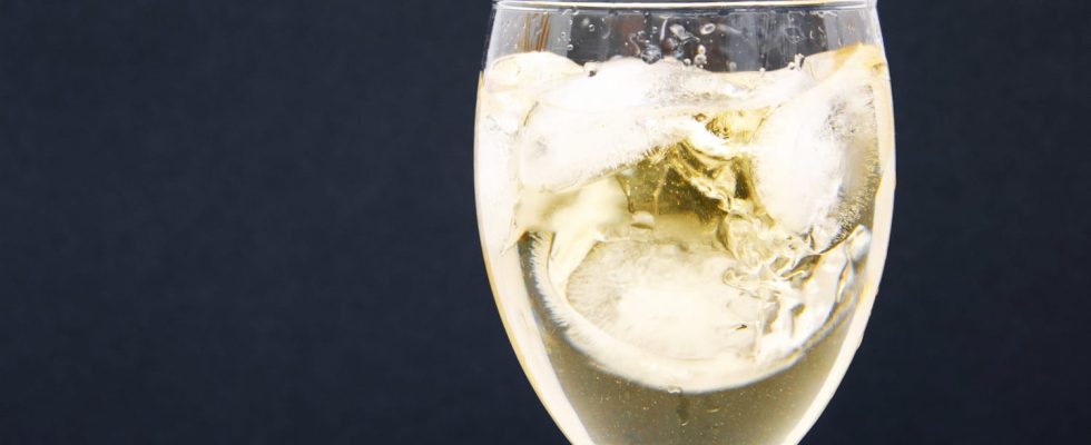 Can you put ice cubes in white wine champagne or