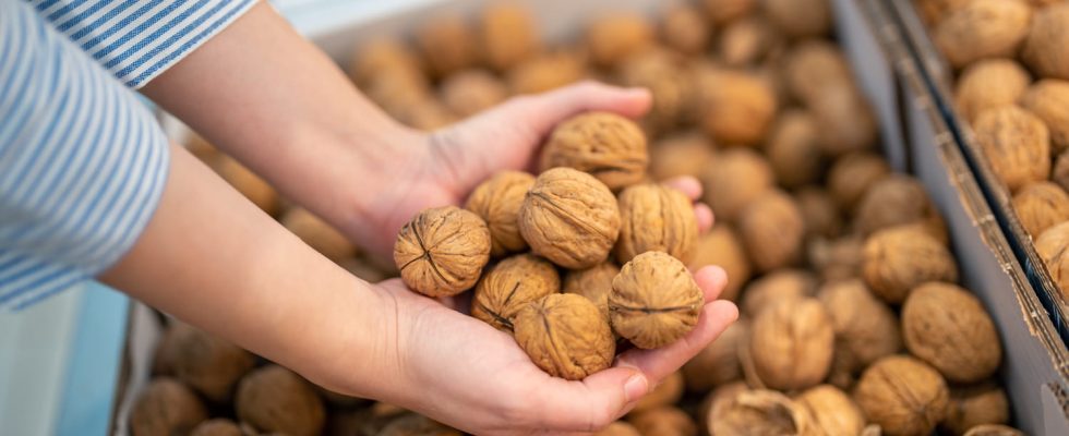 Cardiac mortality researchers specify how many nuts to eat each