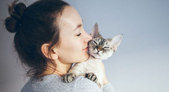 Cat allergy first trials of a vaccine on humans