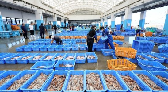 Discharge of Fukushima waters Russia suspends imports of seafood products