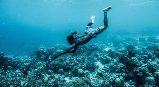 Do you know the Bajau These are the first humans