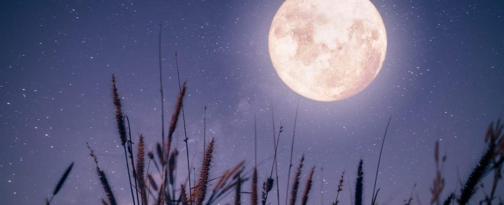 Full Moon of October 28 which astrological signs will be