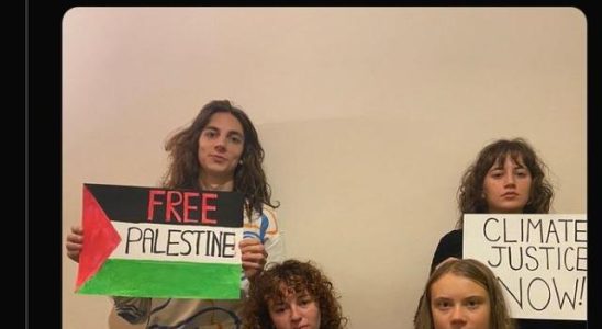 Greta Thunberg supported Palestine New decision from Israel